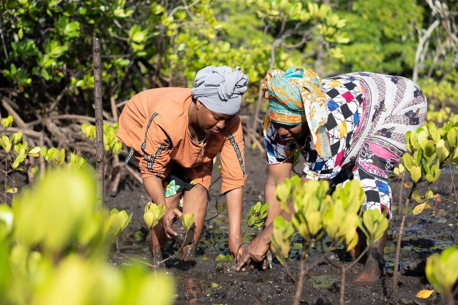 Healing the Land: How Communities Are Restoring Northern Kenya’s Rangelands