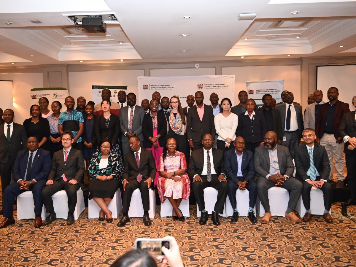 Kenya Courts Investors to Turn Forest Restoration Into a Green Economy