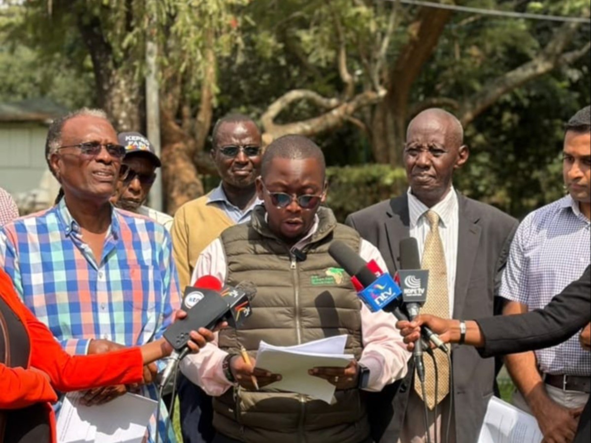 Kenyan Government at Crossroads as Conservationists Decry Forest Encroachment