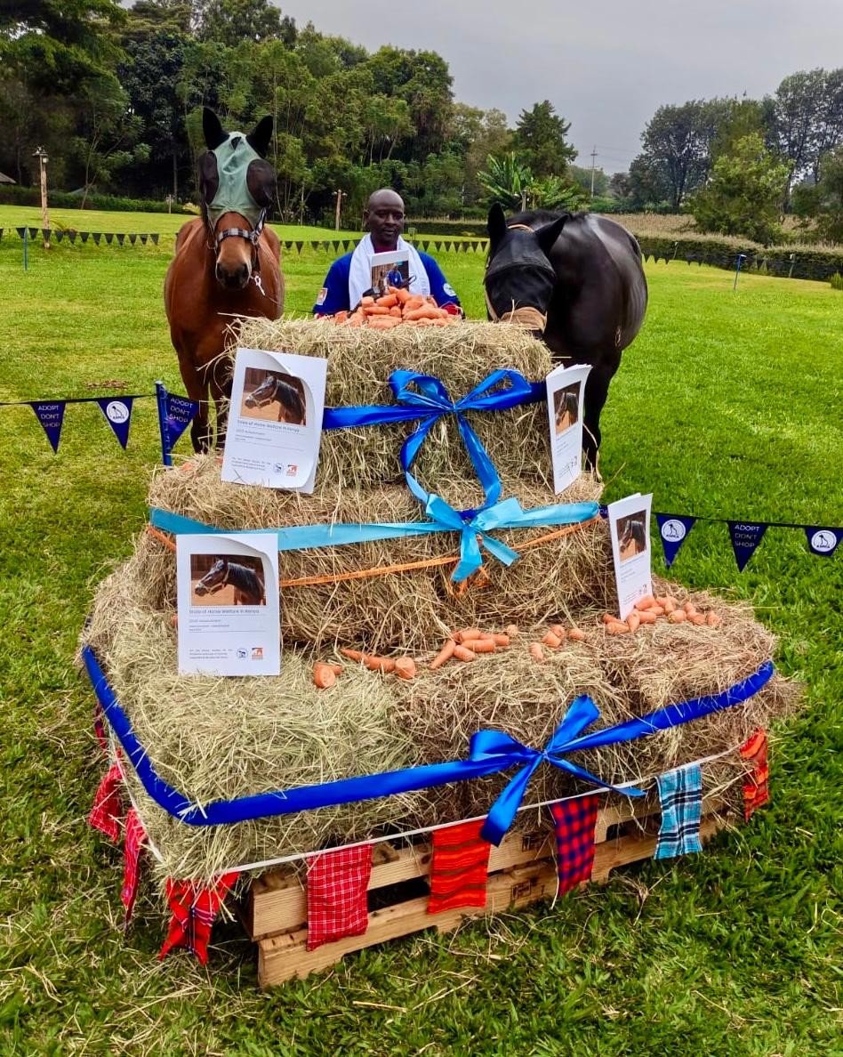 World Horse Day: Kenya's Growing Love for Horses Meets a Welfare Reckoning